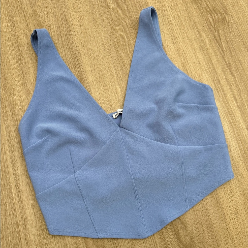 NWOT Abercrombie & Fitch Baby Blue Corset Plunge Neckline Crop Top Size L - Picture 2 of 8